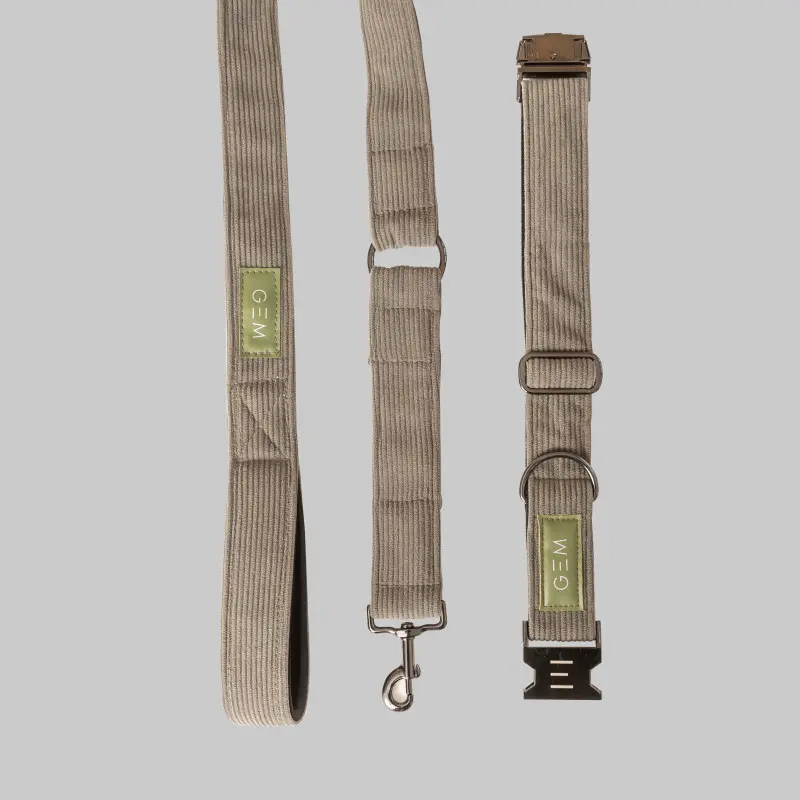 Comparer les prix de Pack collier & laisse pour chien GEM