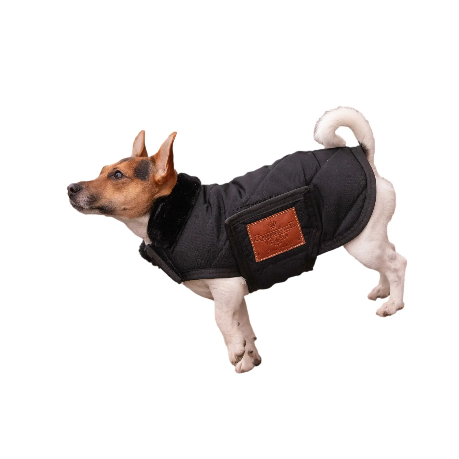 Couverture pour chien diagonale Paddock Sports