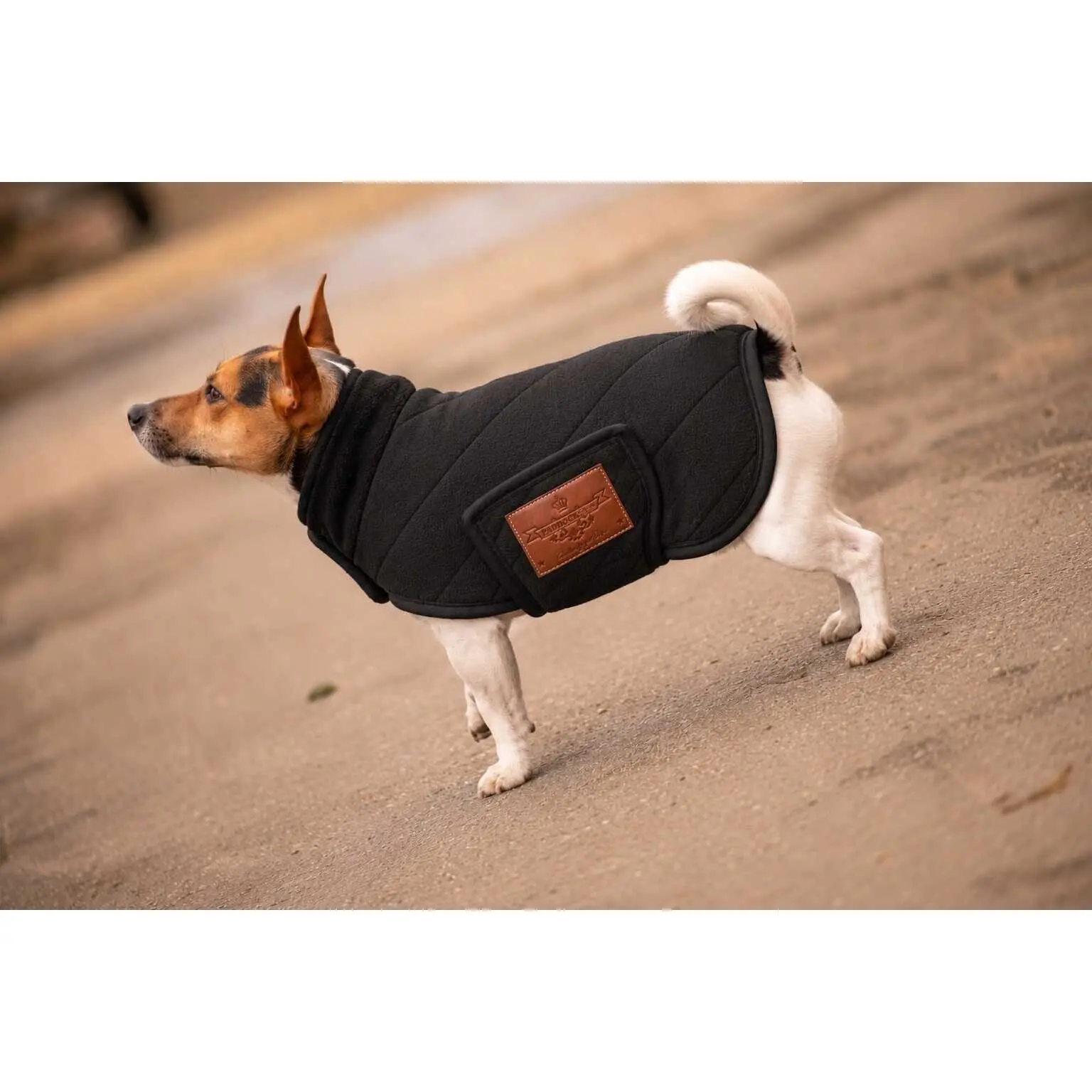 Couverture pour chien polaire Paddock Sports Diagonal Paddock