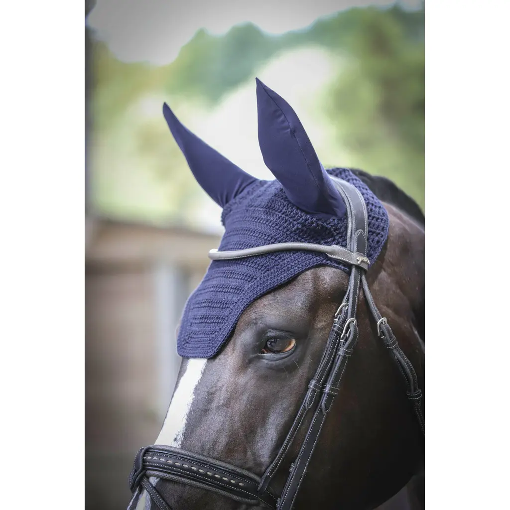 Meilleurs prix pour Bonnet pour cheval Paddock Sports Pro Coton Fs