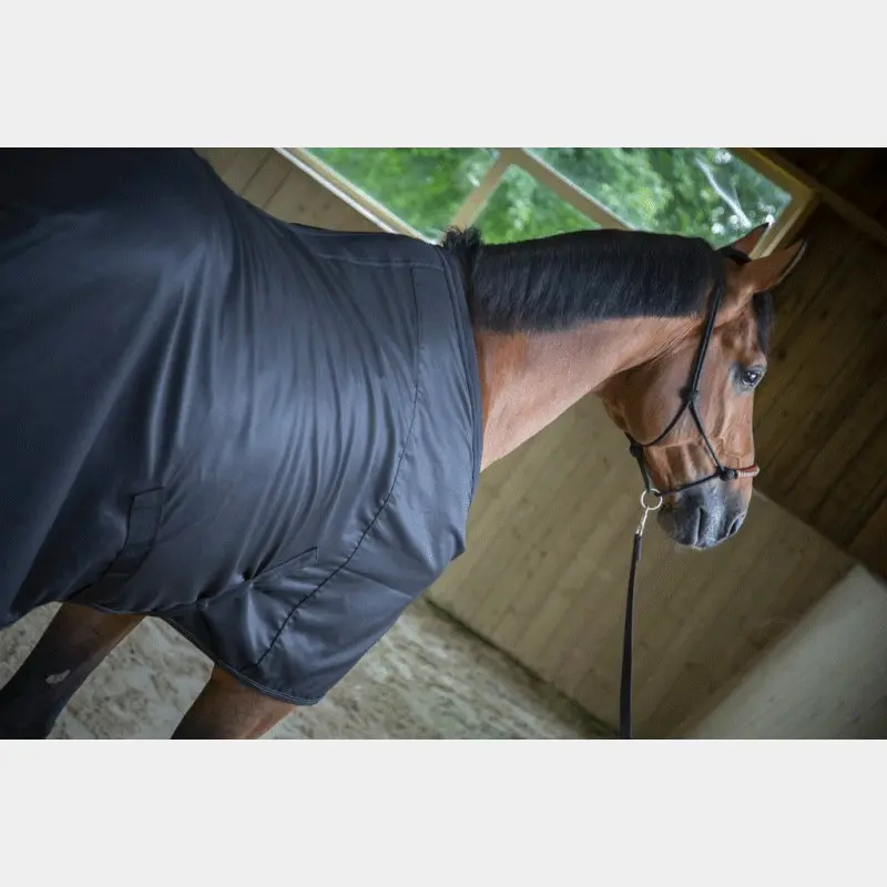 Comparer les prix de Chemise pour cheval Paddock Sports Light Mesh