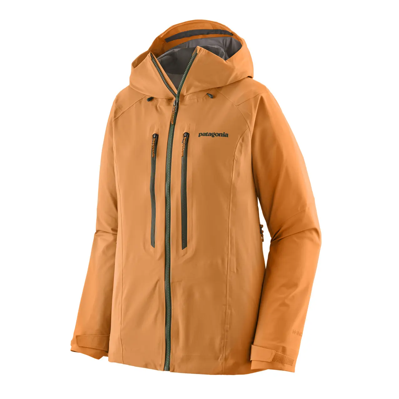 Veste de ski femme Patagonia Stormstride