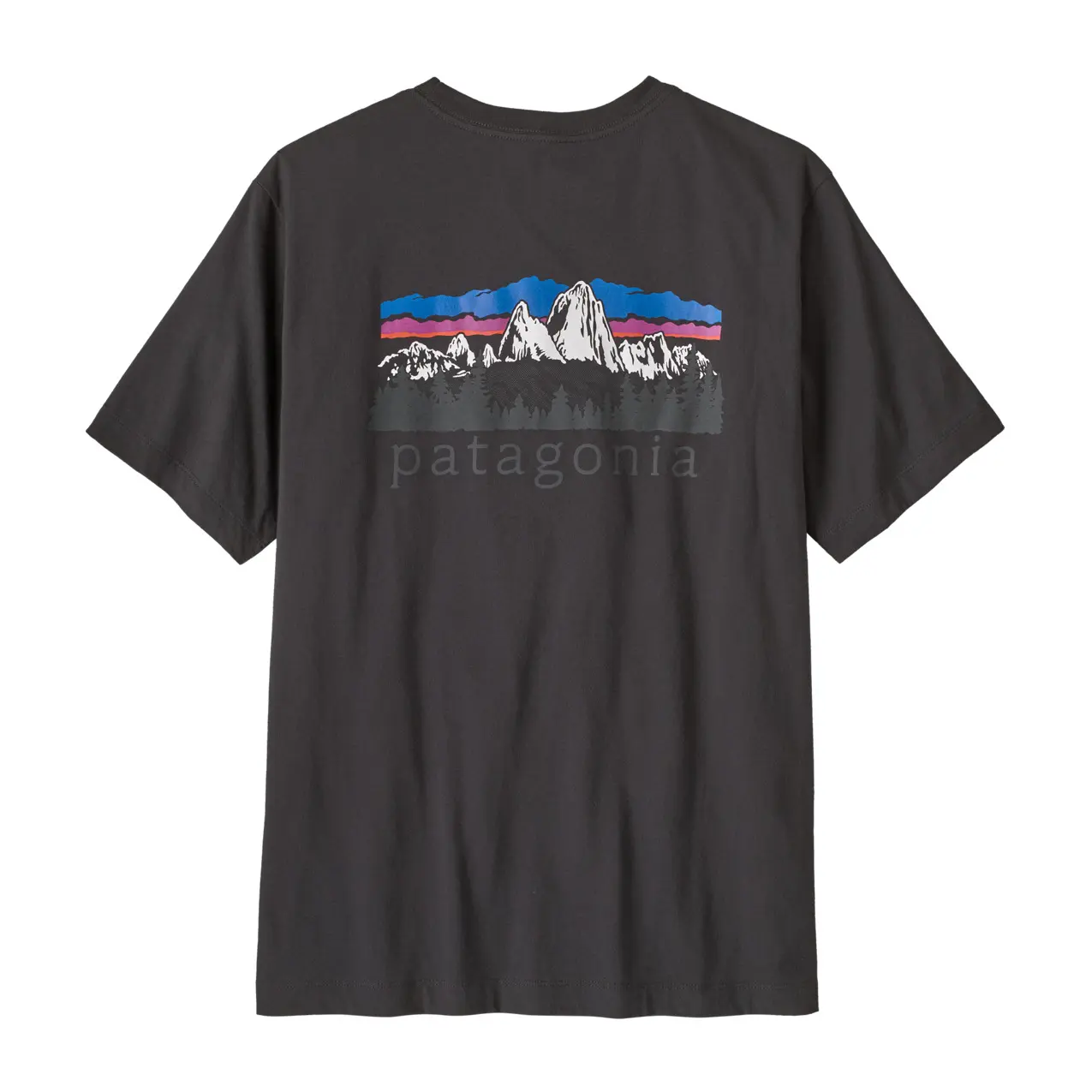 Patagonia Fitz Roy Foothills T-Shirt zwart