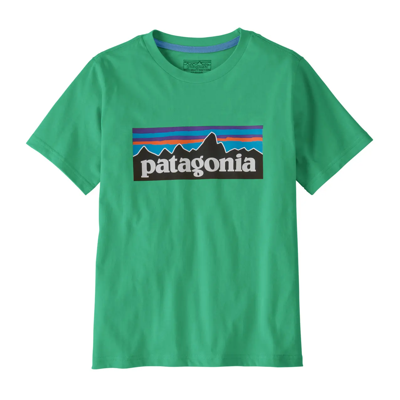 T-shirt kind Patagonia P-6 Logo