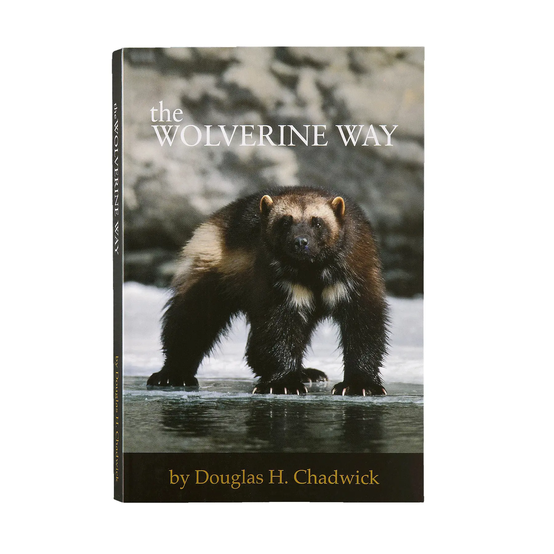 Livre Patagonia The Wolverine Way