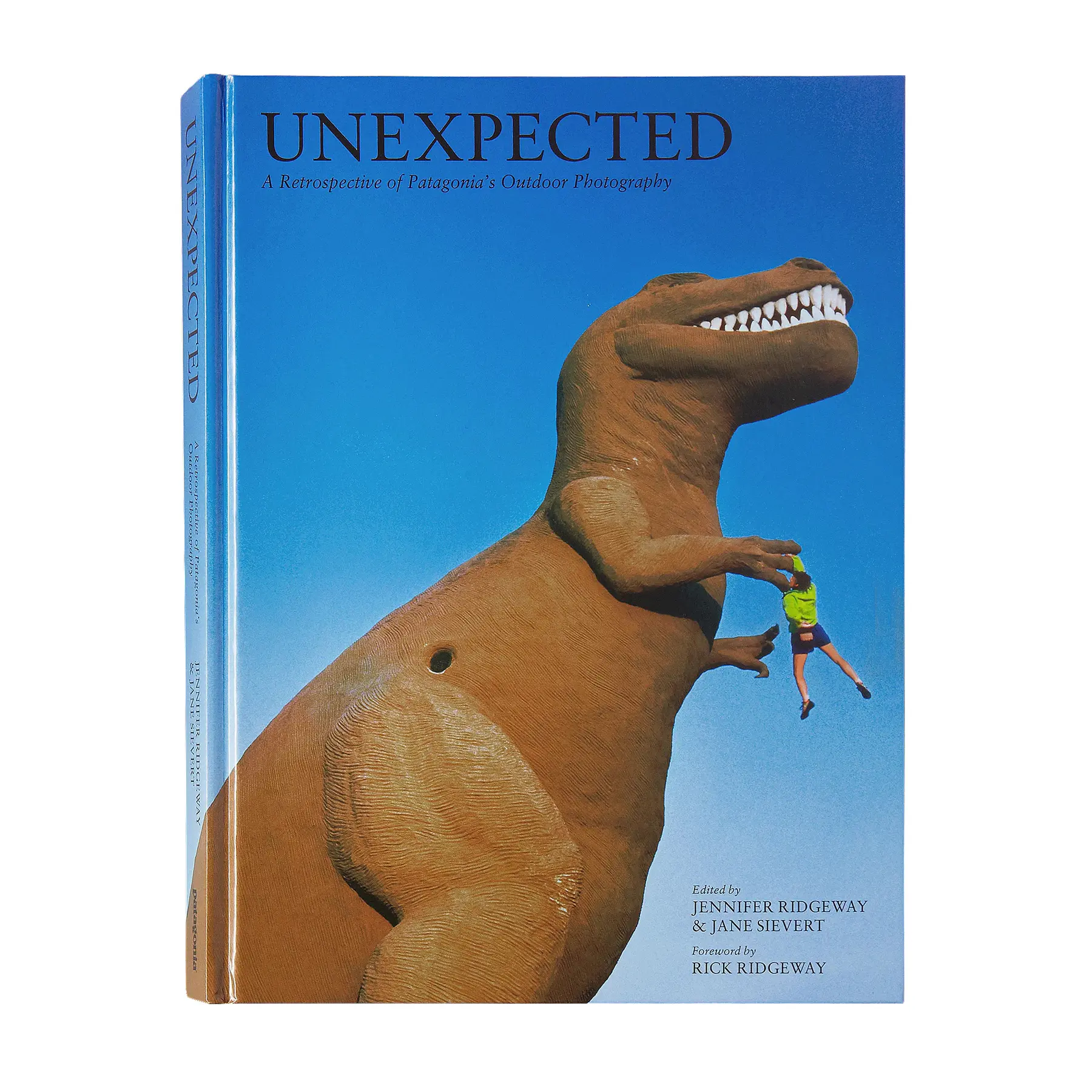 Livre Patagonia Unexpected