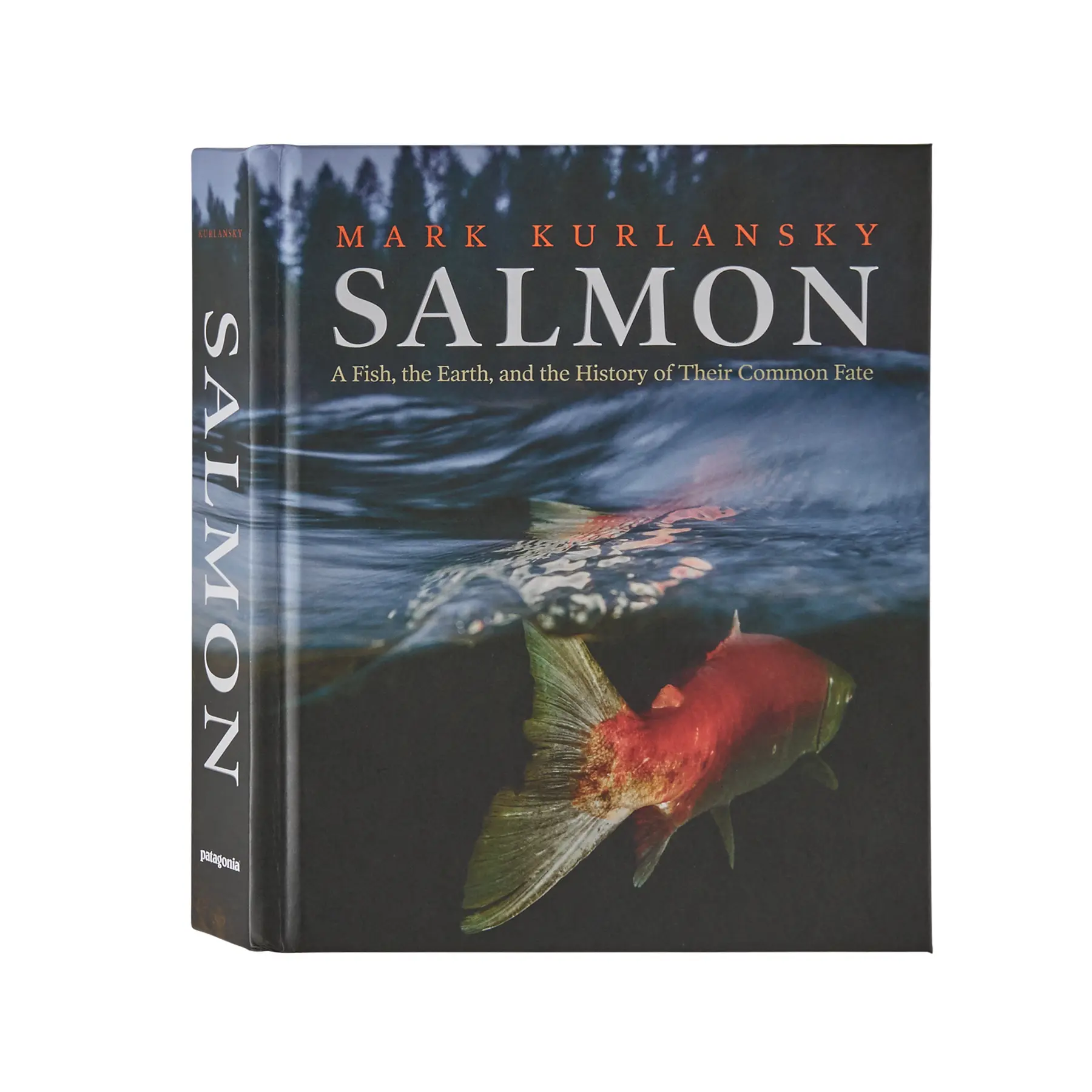 Patagonia Bleu Book Salmon