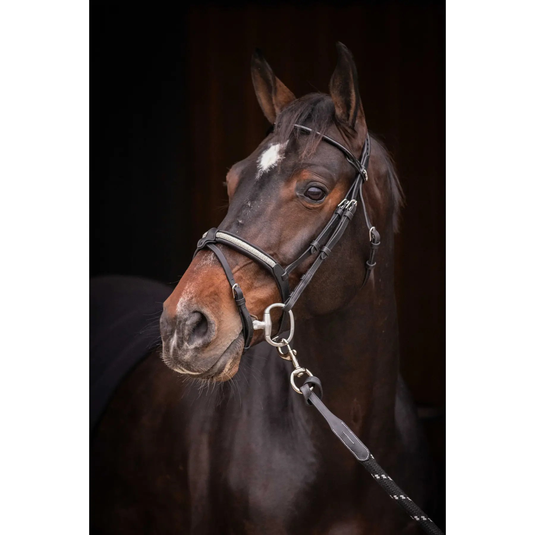 Pénélope Noir Riding Bridle Symphonie