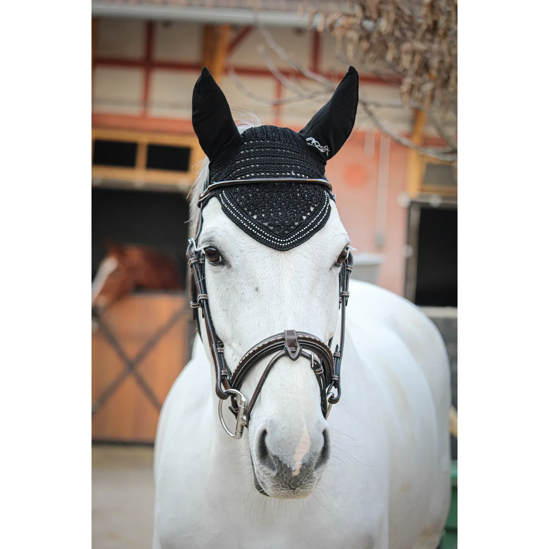 Comparer les prix de Bonnet pour cheval court Penelope New Strass