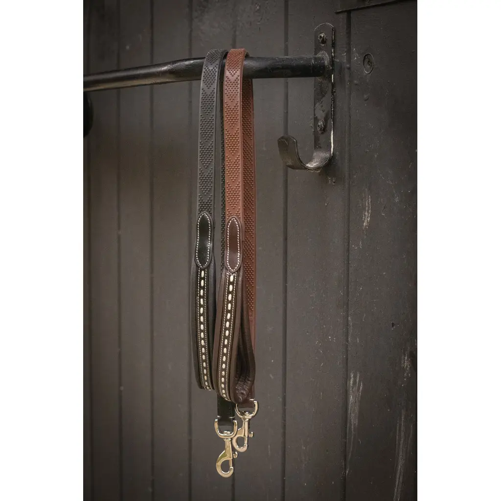 Laisse pour chien en cuir Penelope Rubber