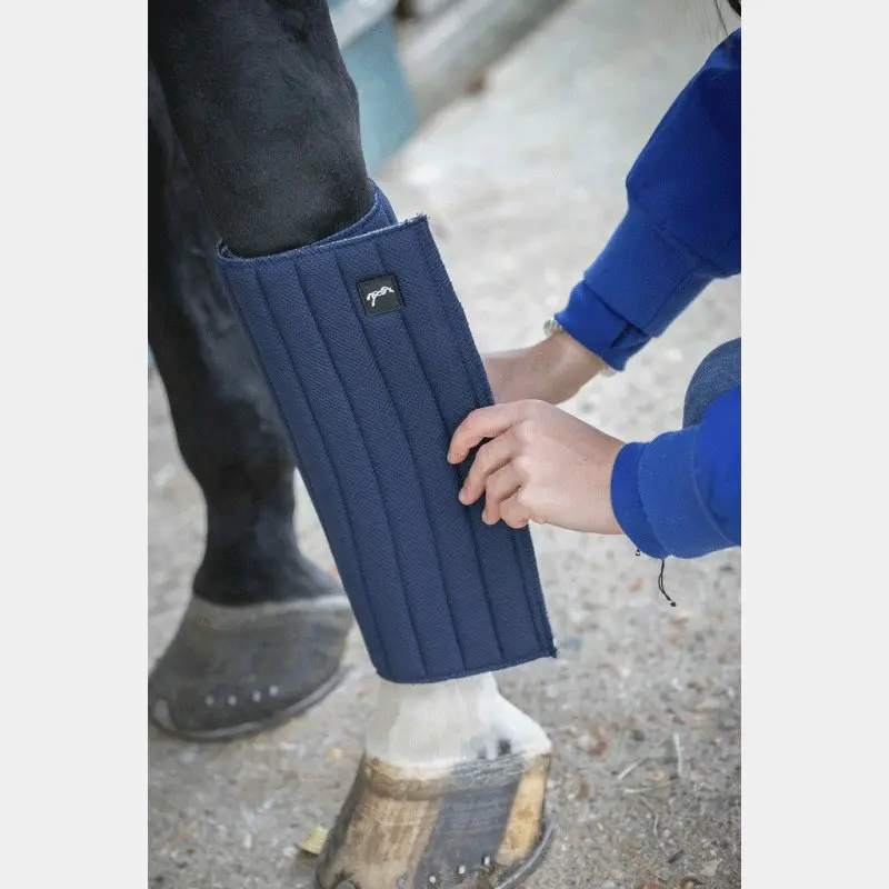 Pénélope Bleu Flannel For Horse Soft