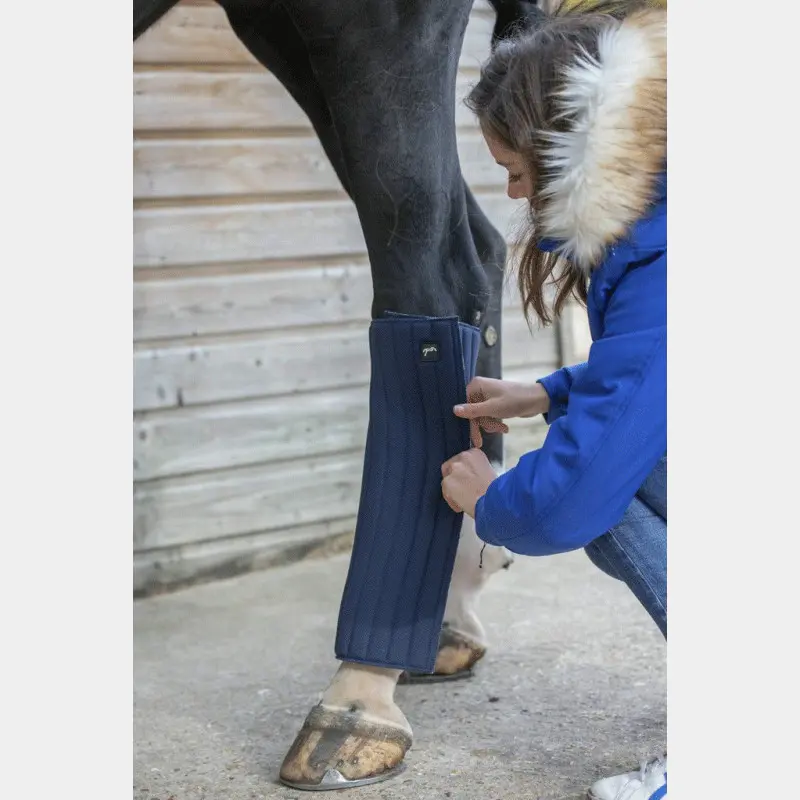 Comparer les prix de Flanelle pour cheval Pénélope Soft