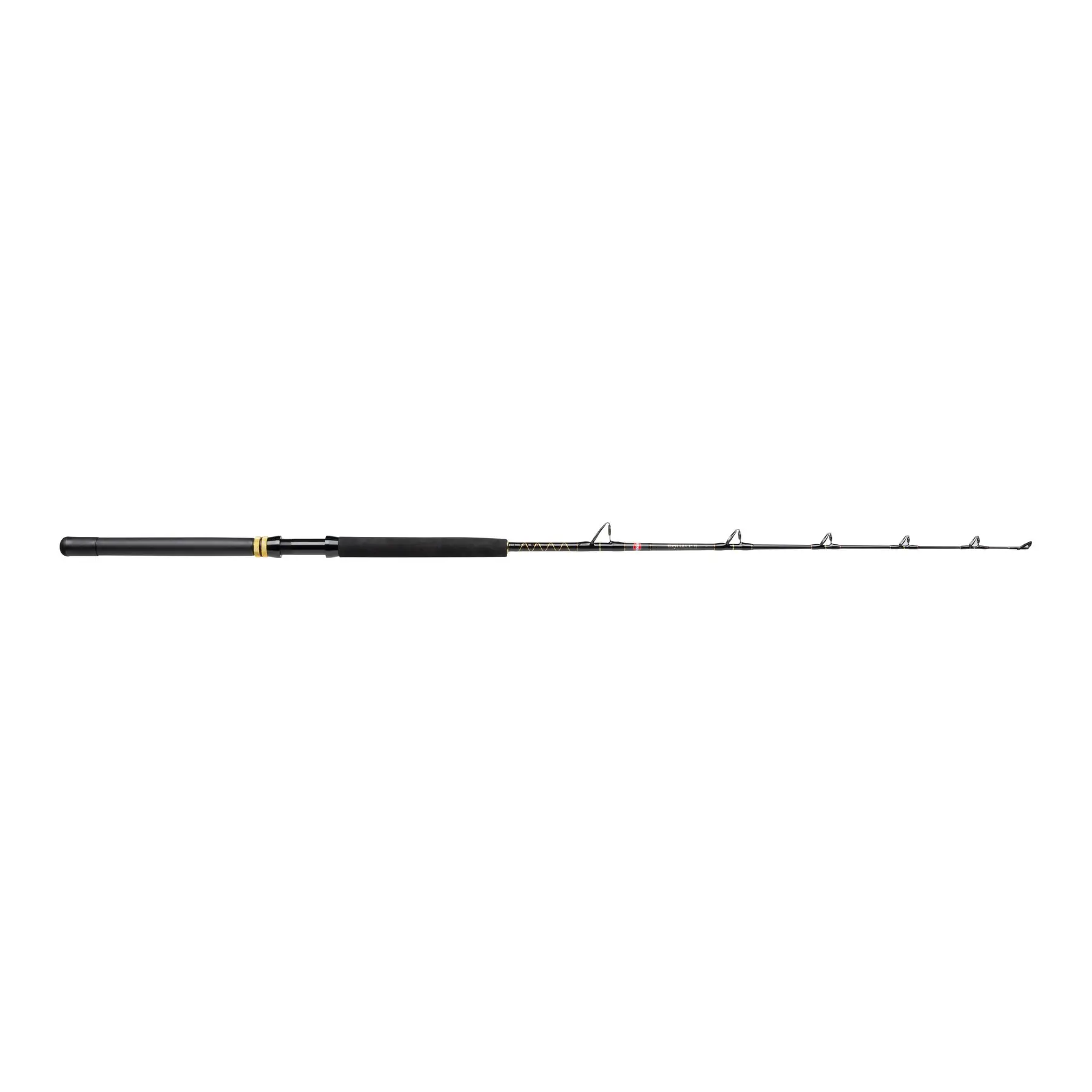 Angelrute Penn Squall II 30-80lb