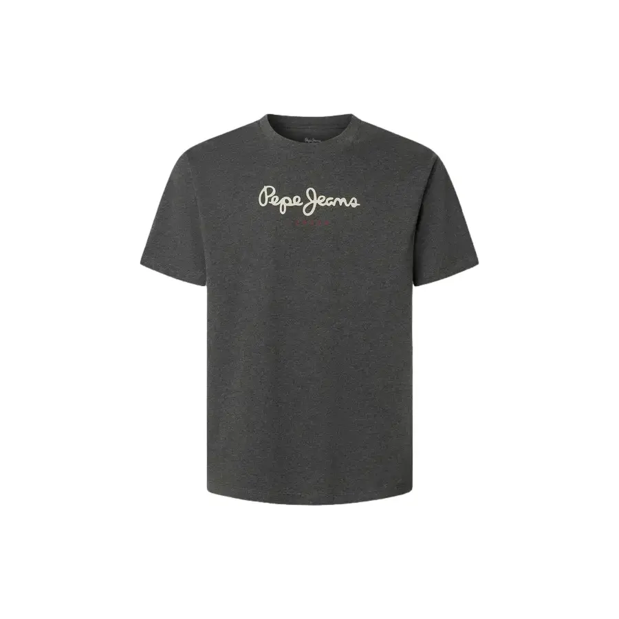 Pepe Jeans Unisex Gris T-Shirt Eggo