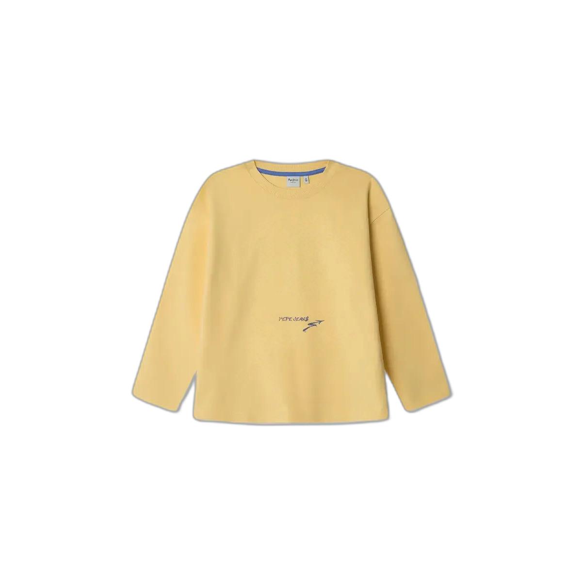 8447166720427 - Pullover Kind Falcon