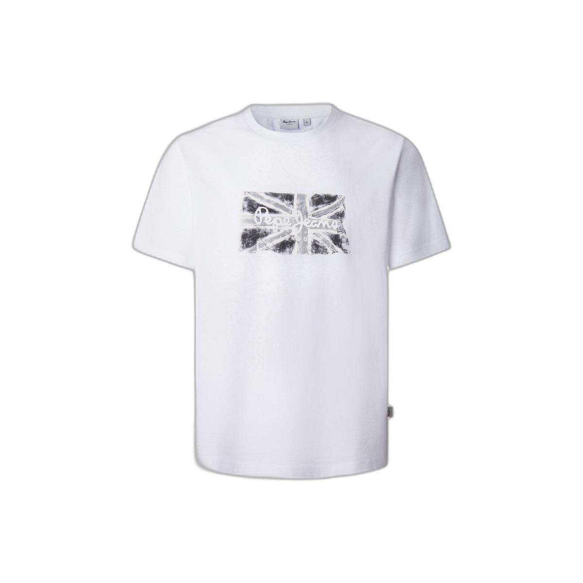 8447166090148 - T-Shirt Flag BW