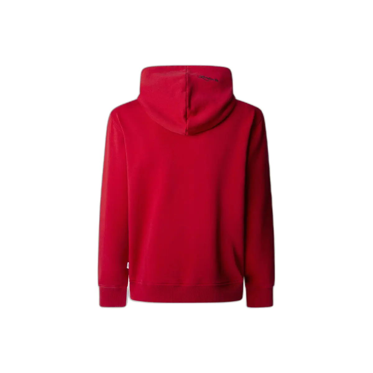 8447166254885 - Hoodie Derril