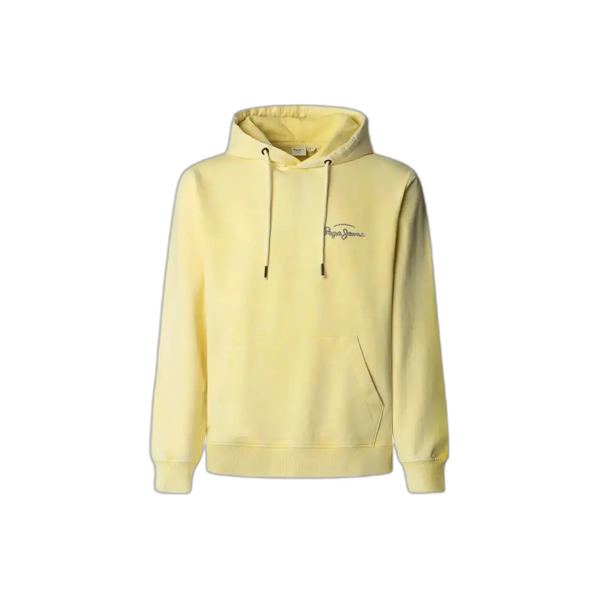 Image of Hoodie Pepe Jeans Terrel