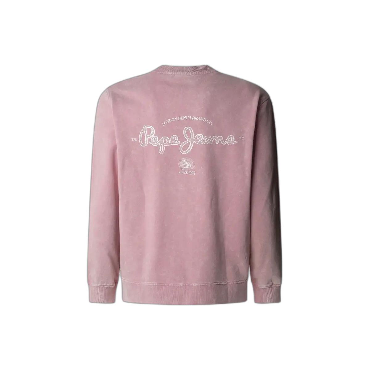 product/p/e/pepe-jeans_pm582918-323_ash-rose_2.jpg