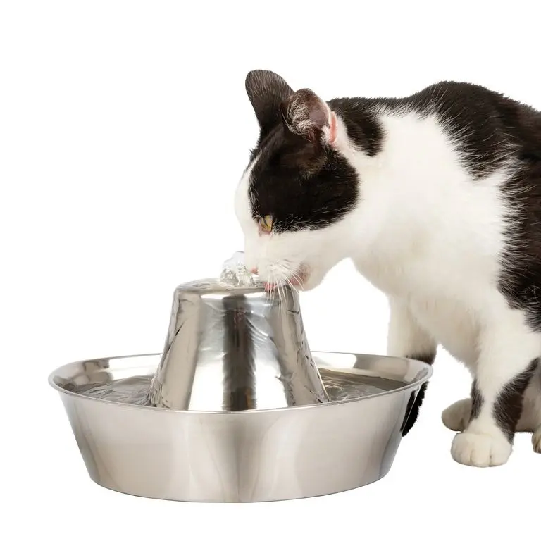 Petsafe Argenté Stainless Steel Water Cooler Seaside