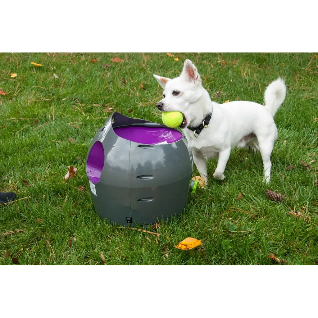 product/p/e/petsafe_cy1074_1.jpg