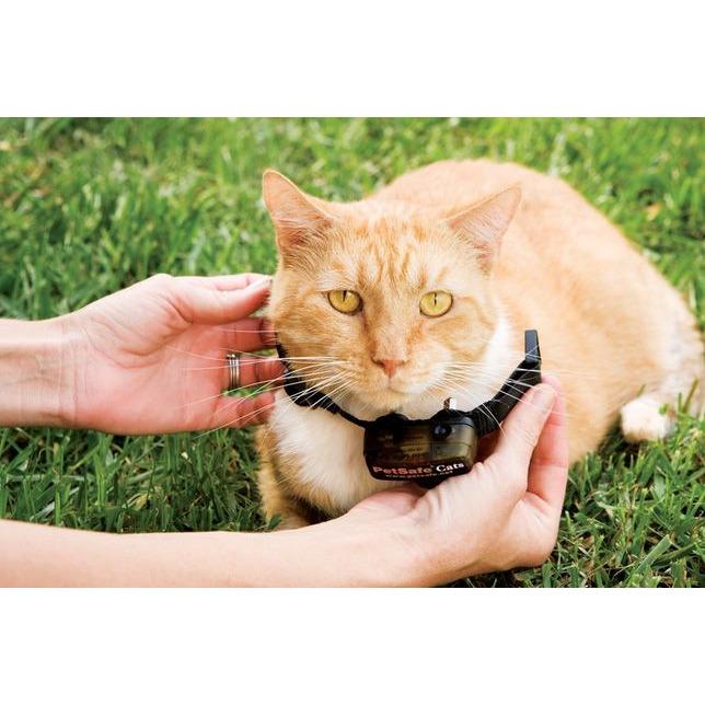 product/p/e/petsafe_cy1667_4.jpg
