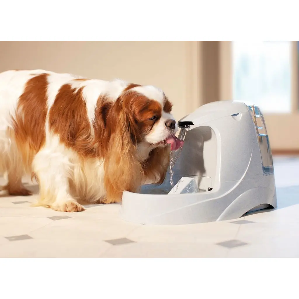 Petsafe Blanc Platinum Water Cooler Drinkwell