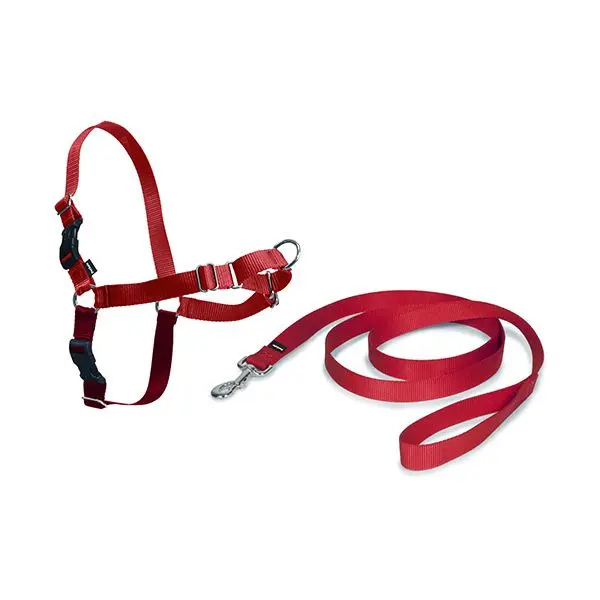 Harnais pour chien PetSafe Easy Walk