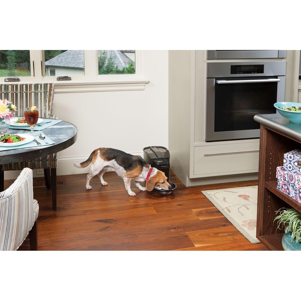 product/p/e/petsafe_cy3871_3.jpg