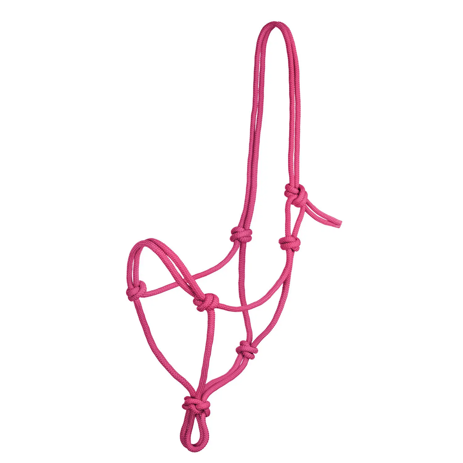 Pool's Rose Knot Halter For Horse