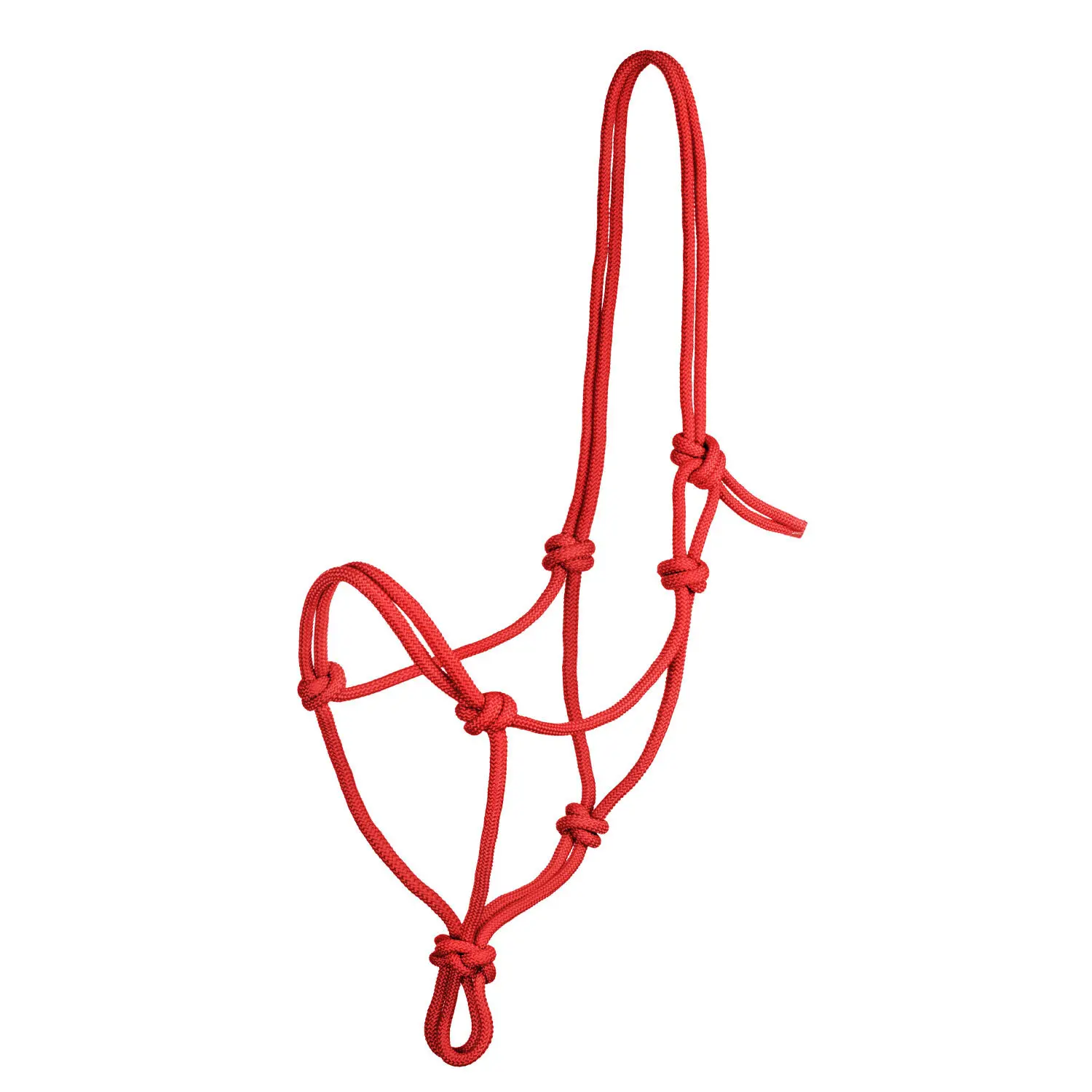 Pool's Rouge Knot Halter For Horse