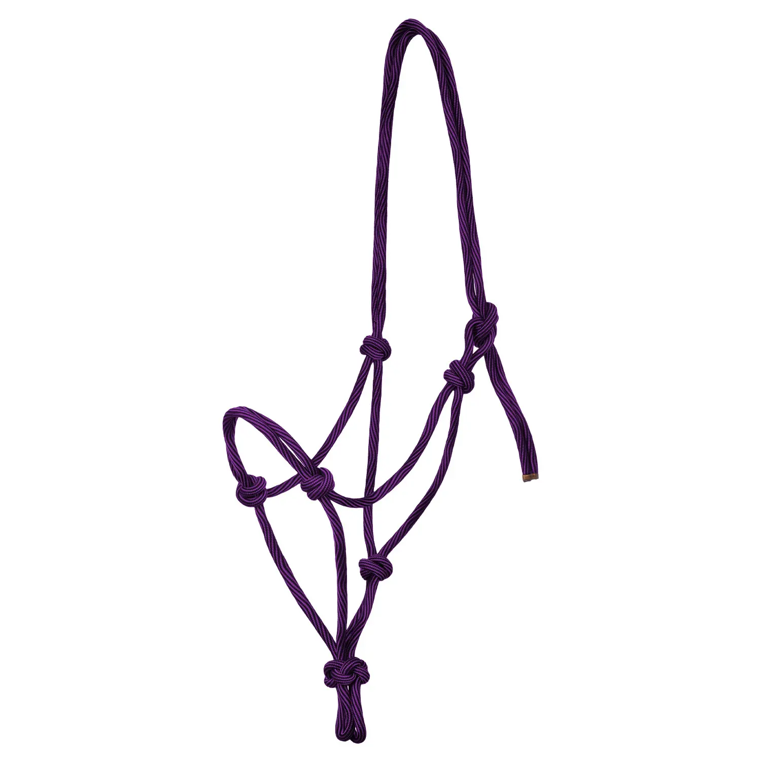 Licol pour cheval en corde nouée Pool's