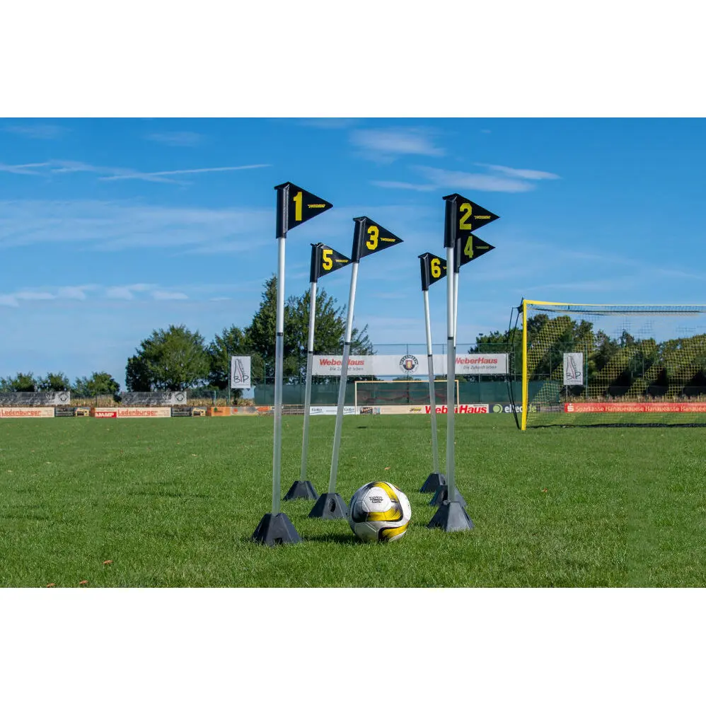 Led-agility-Pfosten Powershot (x6)