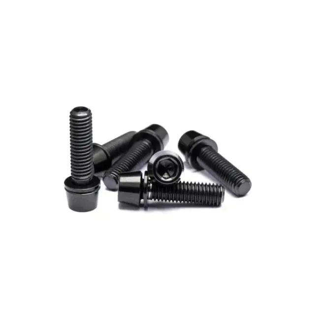 Vis de potence kit in roestvrij staal Praxis Turn (x6)