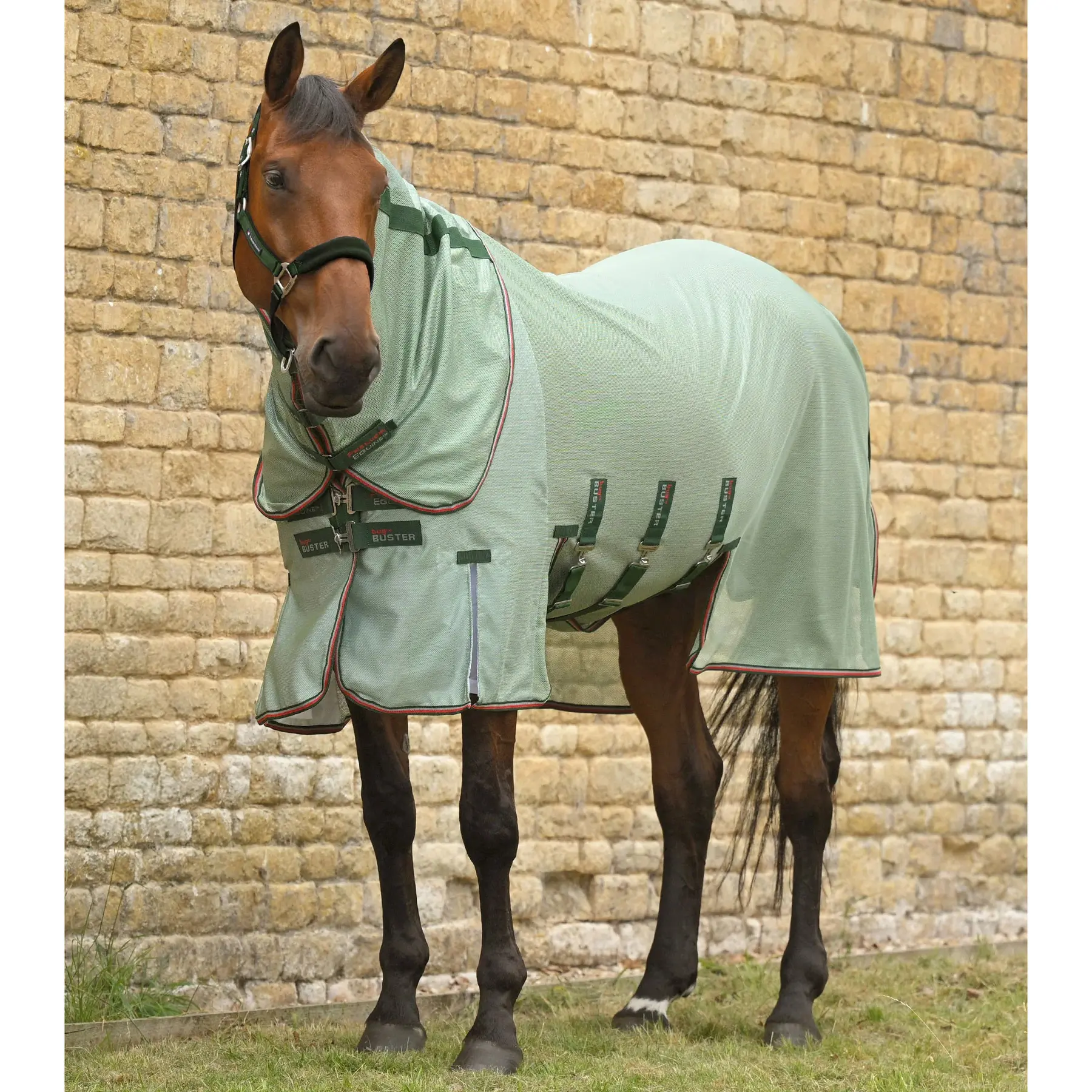 Meilleurs prix pour Couverture anti-mouches pour cheval Premier Equine Bug Buster