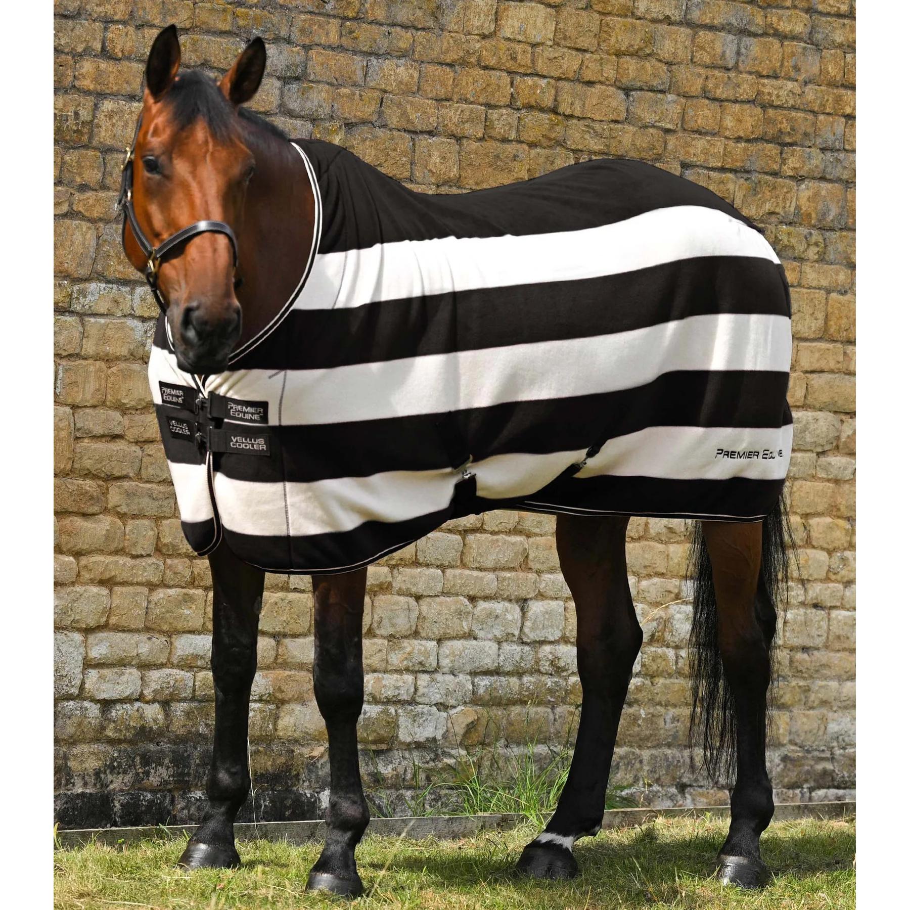 product/p/r/premier-equine-209850blkw-black-white-1.jpg