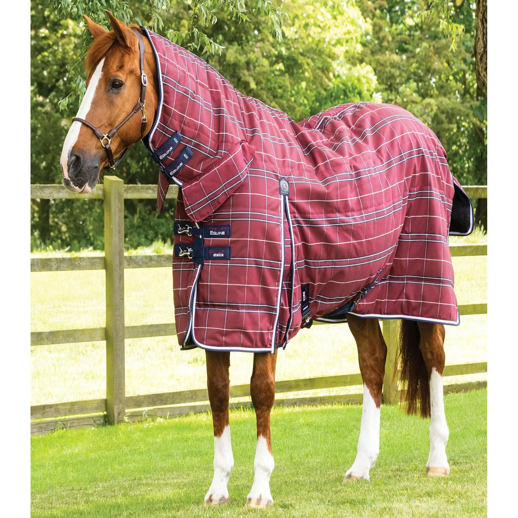 Comparer les prix de Couverture d'écurie pour cheval Premier Equine Domus 400g