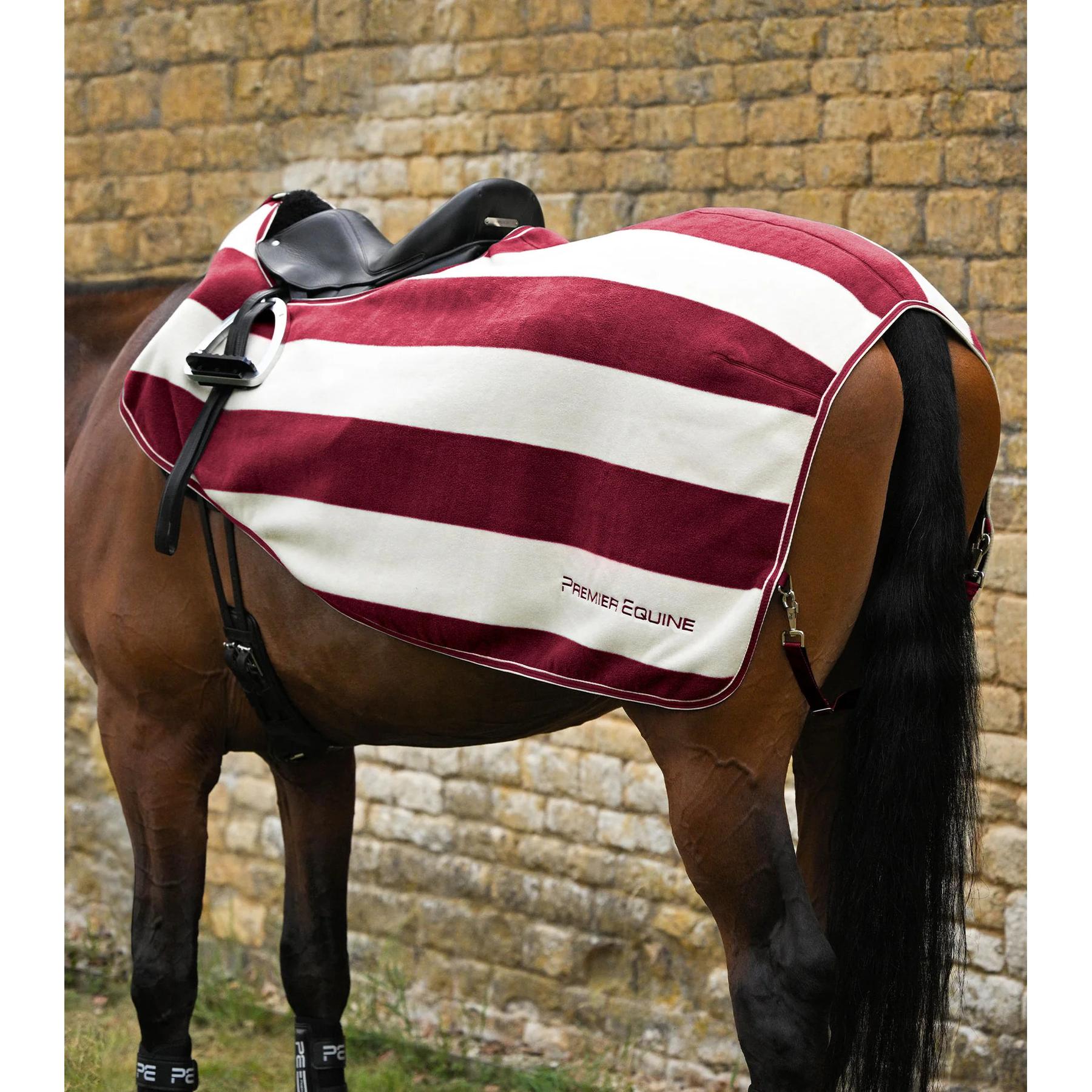 product/p/r/premier-equine-2162lbrgw-burgundy-white-1.jpg