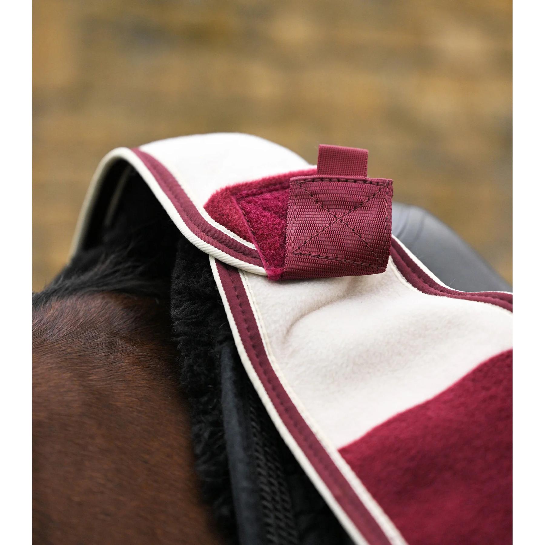 product/p/r/premier-equine-2162lbrgw-burgundy-white-2.jpg