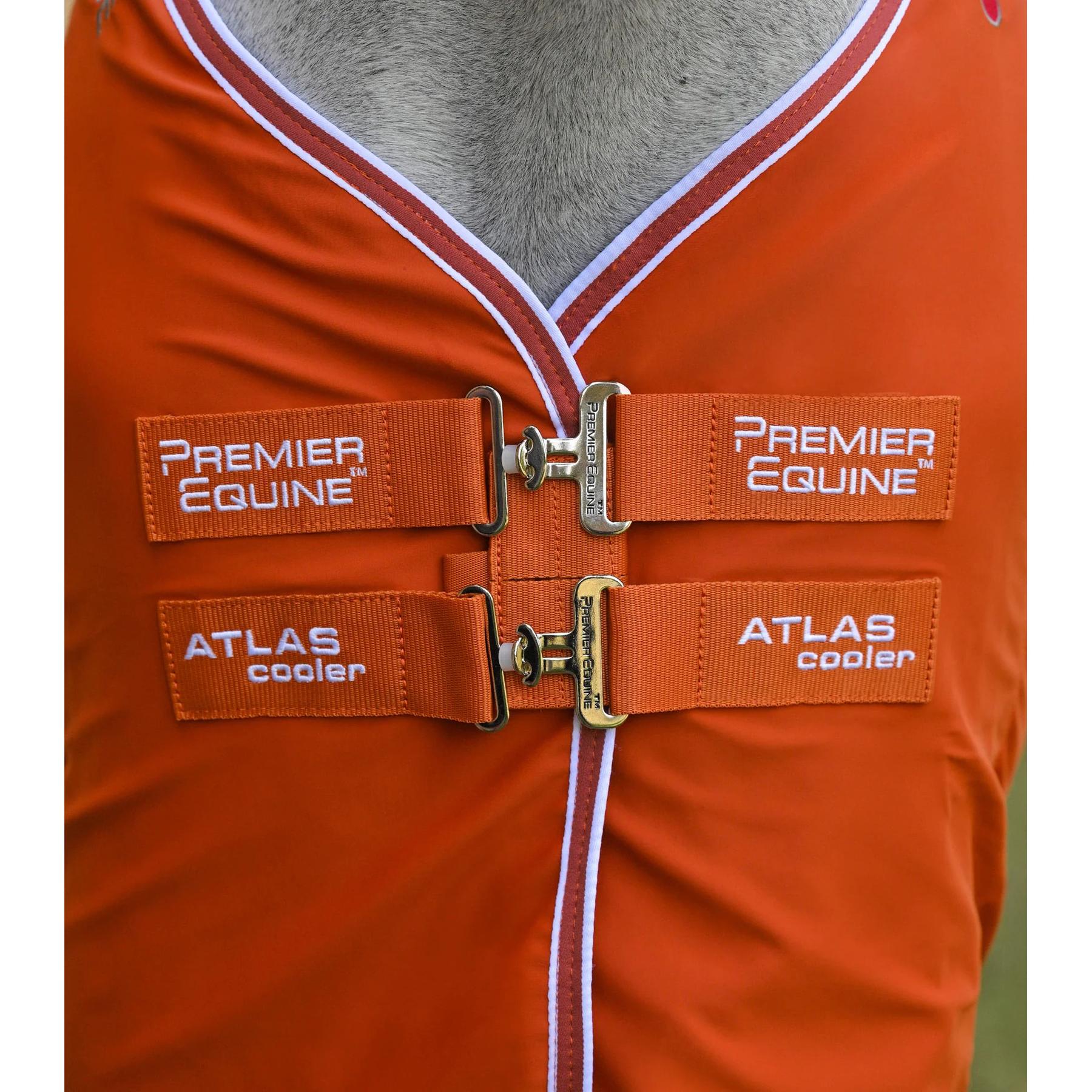 product/p/r/premier-equine-270050bo-burnt-orange-2.jpg