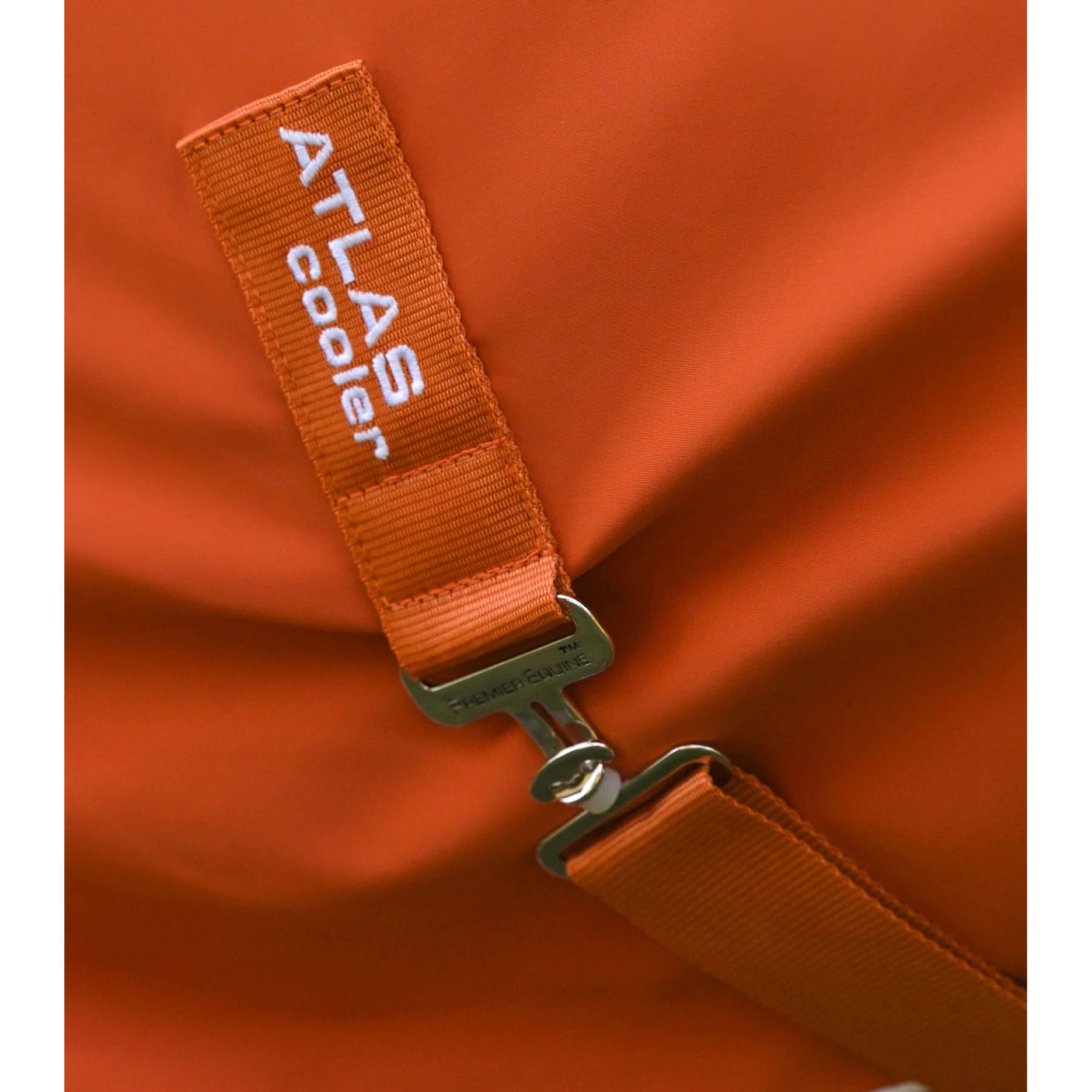 product/p/r/premier-equine-270050bo-burnt-orange-5.jpg