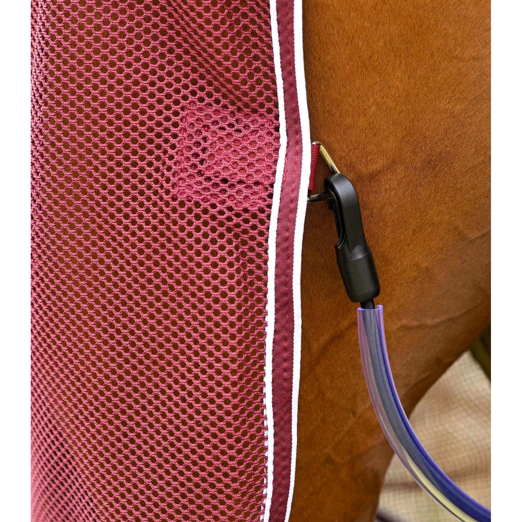product/p/r/premier-equine-296050brg-burgundy-6.jpg