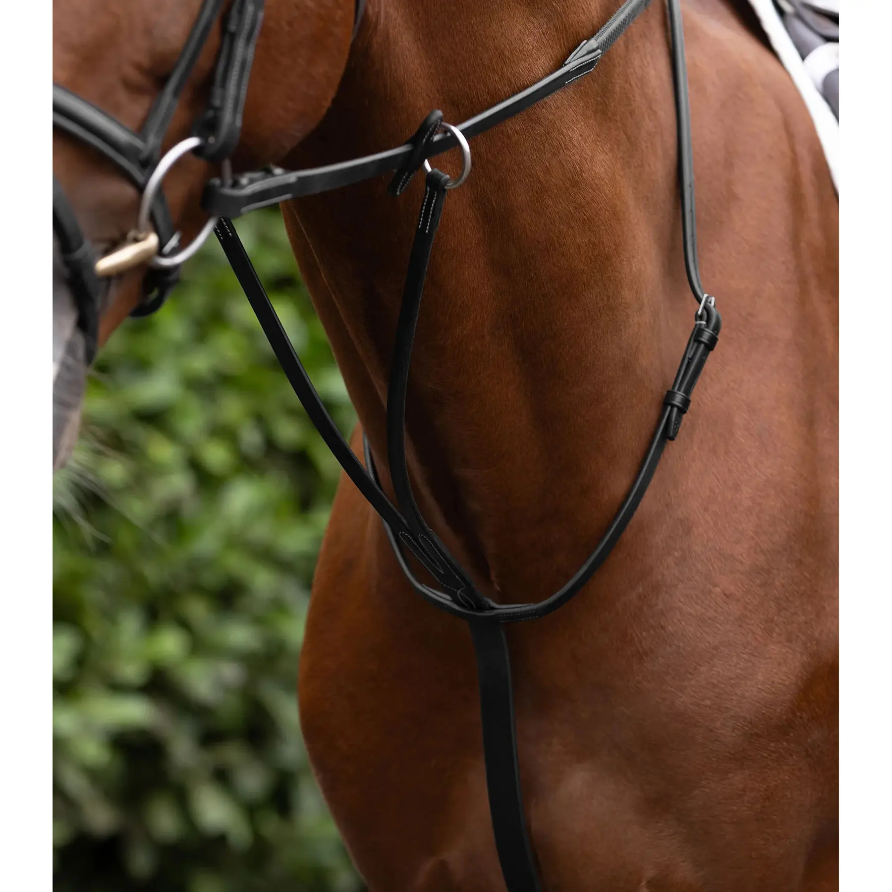 Martingale voor paarden Premier Equine European Running