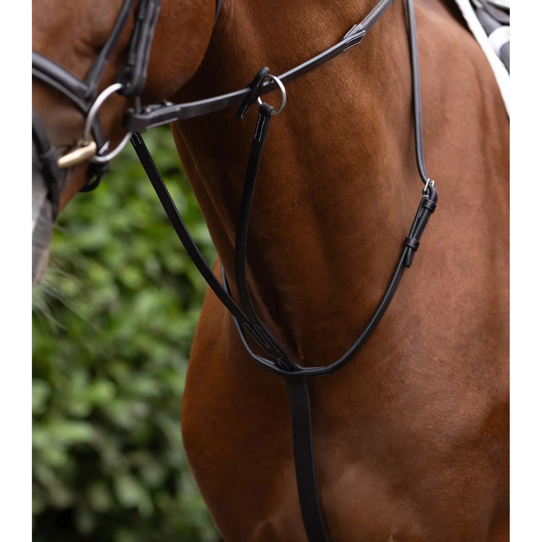 Martingale voor paarden Premier Equine European Running