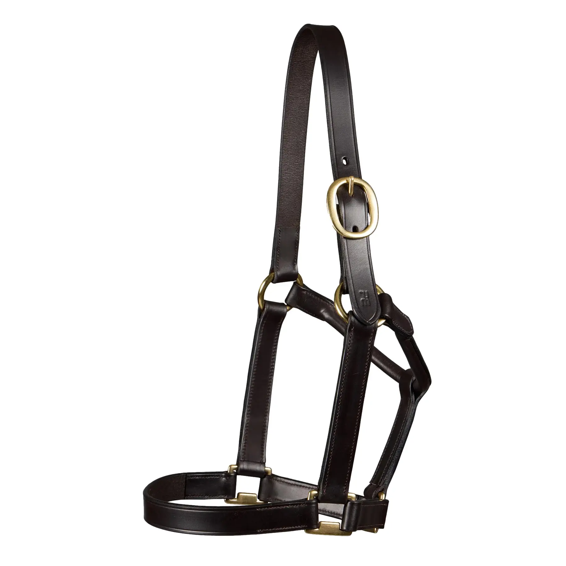 Licol pour cheval Premier Equine Yearling