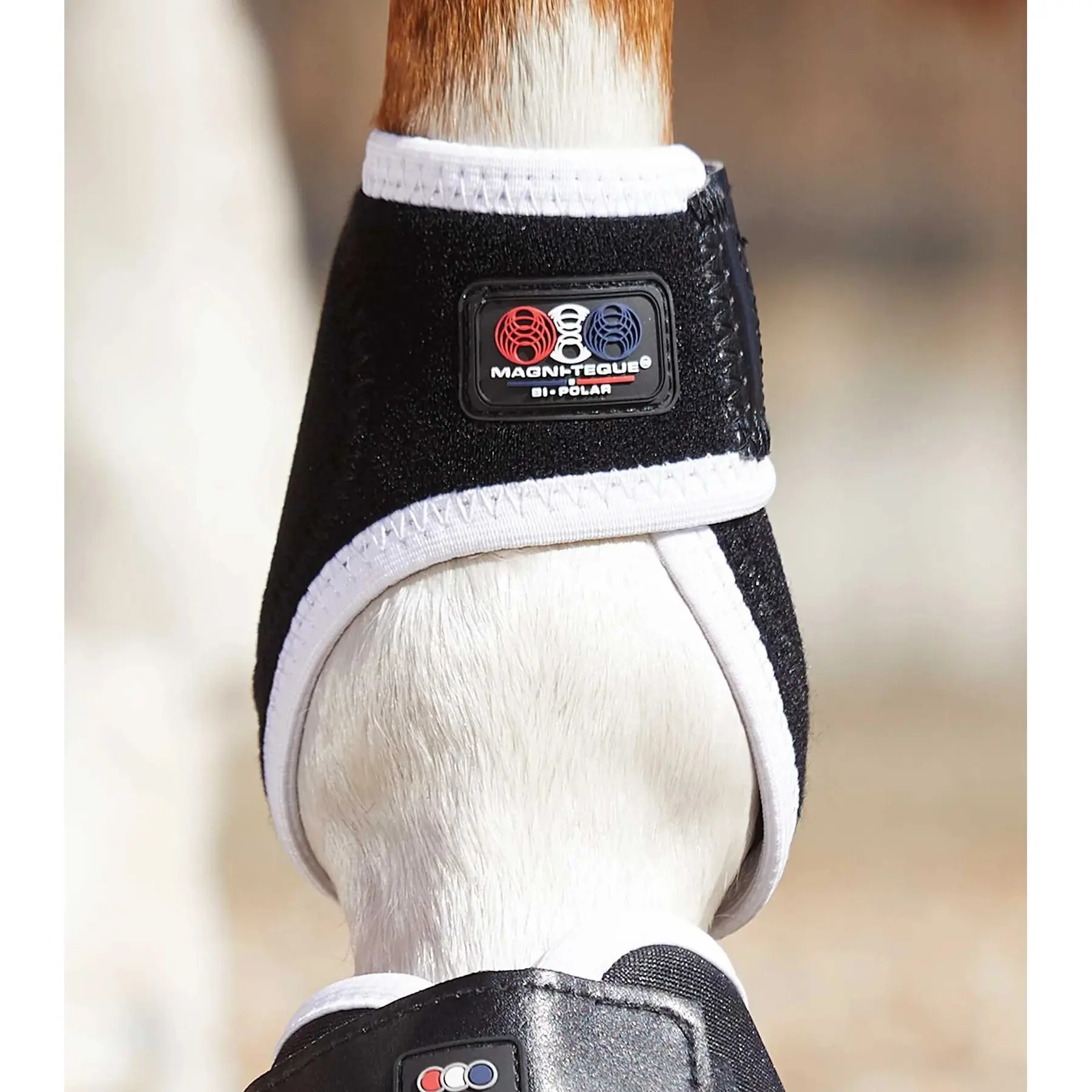 product/p/r/premier-equine_1013_4.jpg