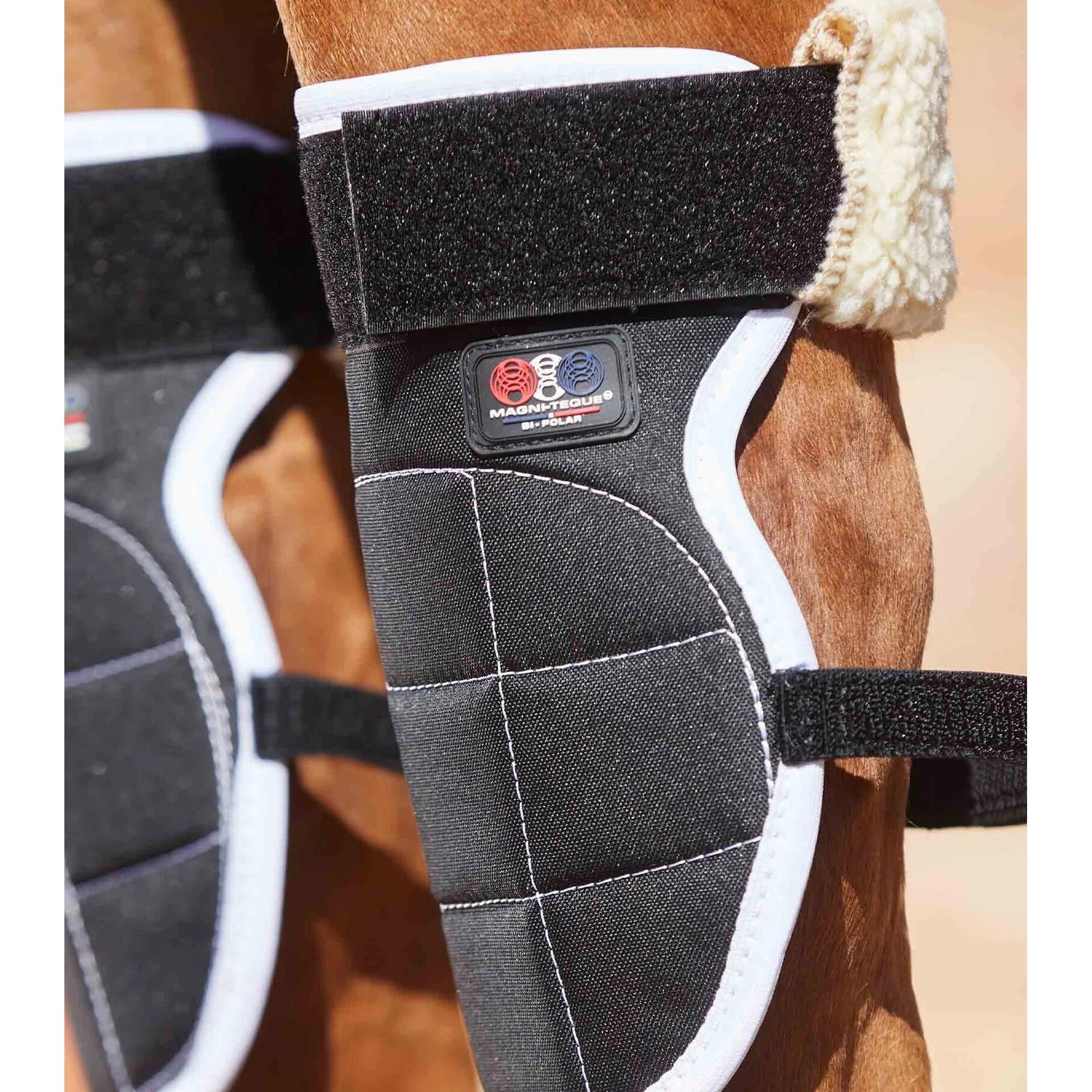 product/p/r/premier-equine_1014_5.jpg
