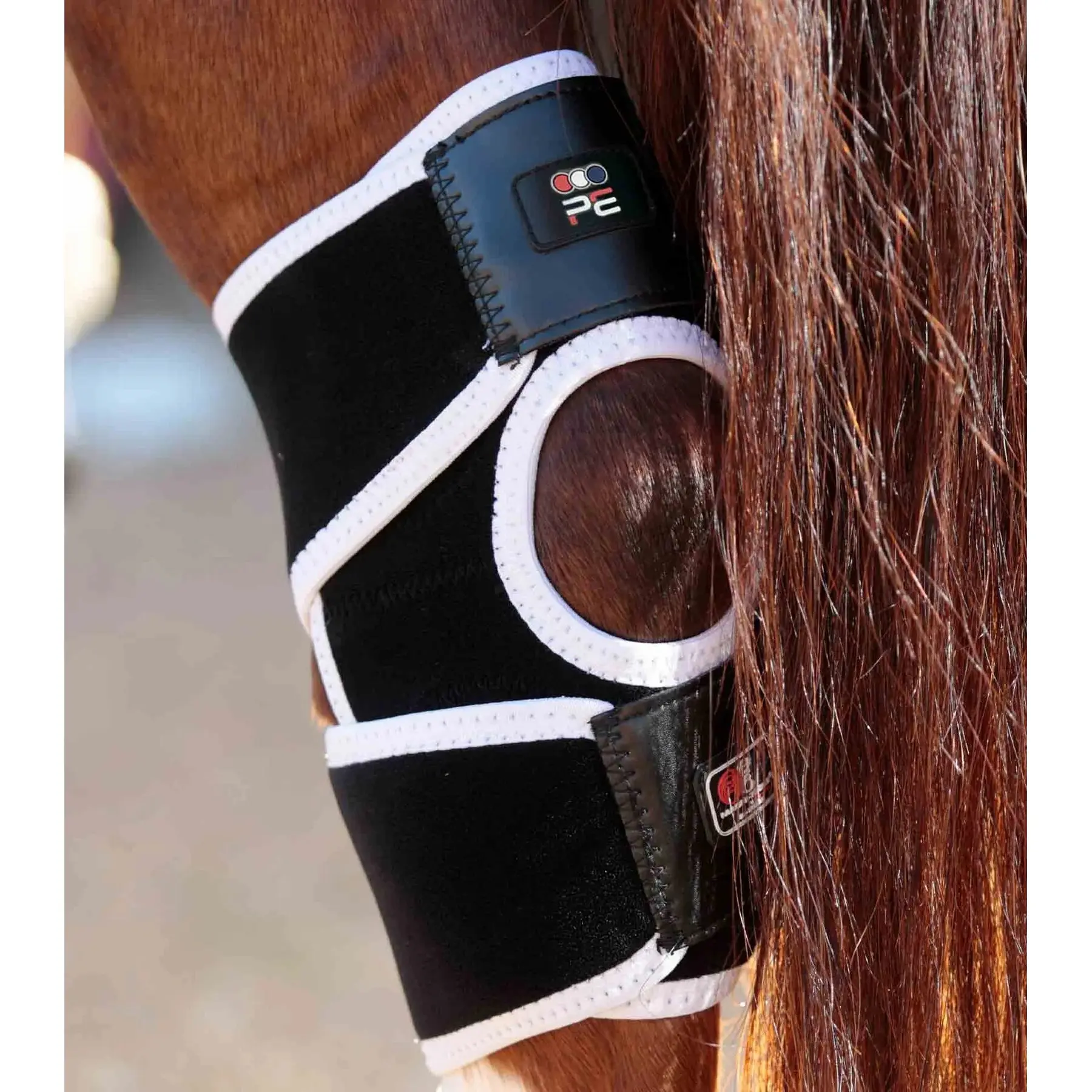 Premier Equine Women's Noir Magnetic Knee Protectors For Horses Magni-Teque
