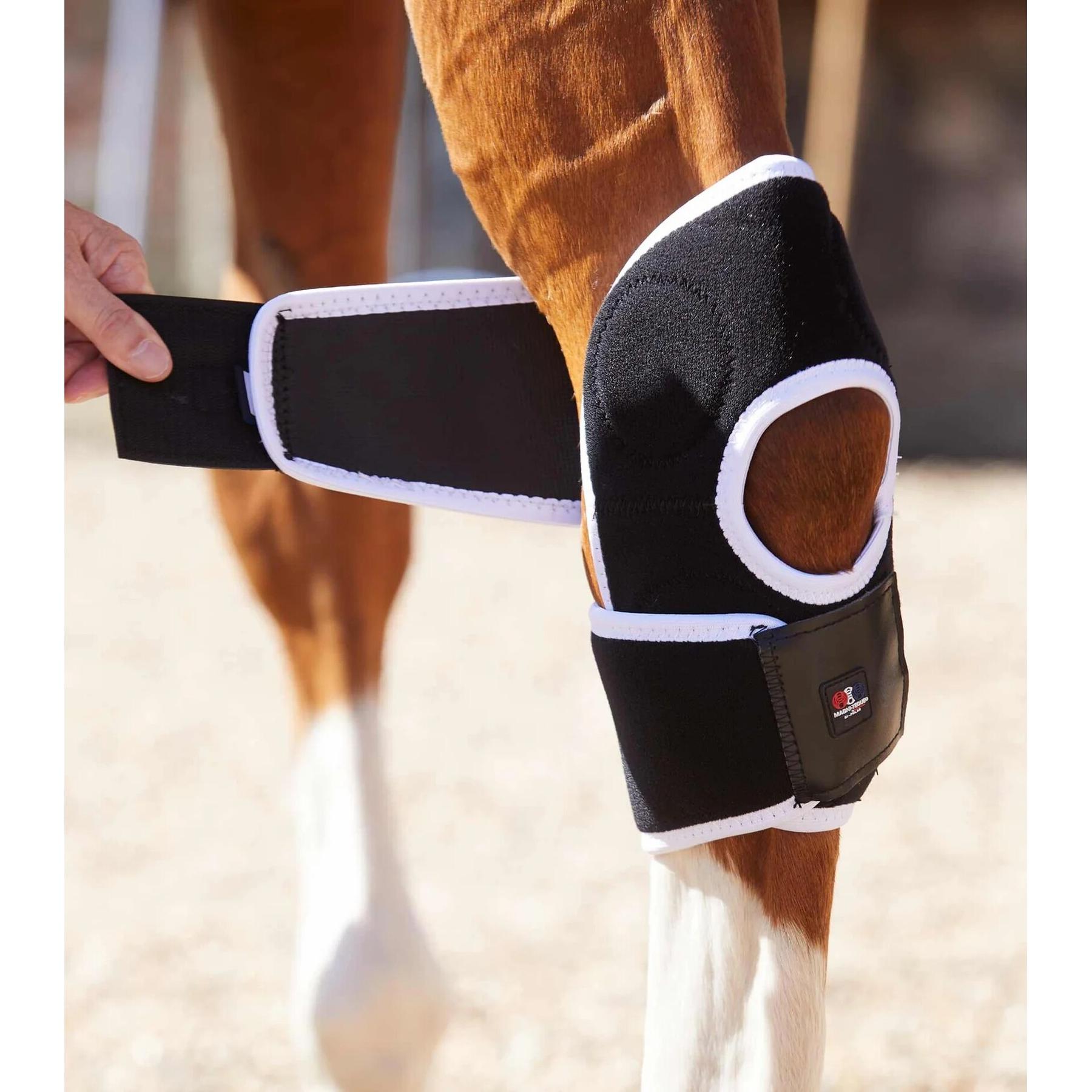 product/p/r/premier-equine_1016_5.jpg