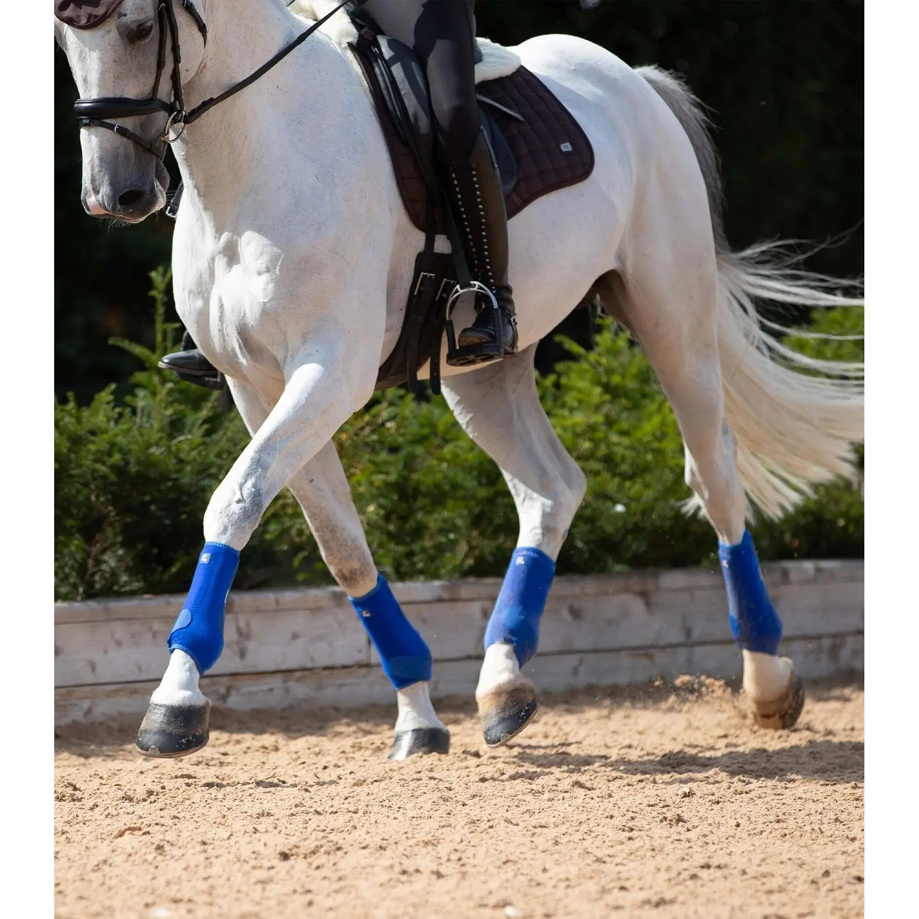 product/p/r/premier-equine_1029xlblu_2.jpg